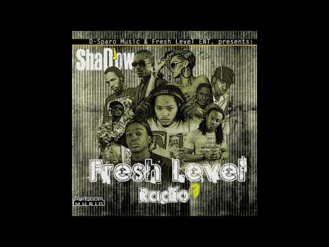 Dj-Shadow- (part6) Mixtape Ft. Nash Murda Lyrical amo lab Kalibwoy Flippa Maffia Beenie Man