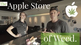 THE APPLE STORE OF WEED 🌳 Seattle, Washington | Vela Cannabis Recreational Marijuana Pot Shop Tour