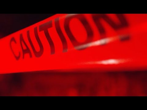 Brando AR - RICKY [Official Video]