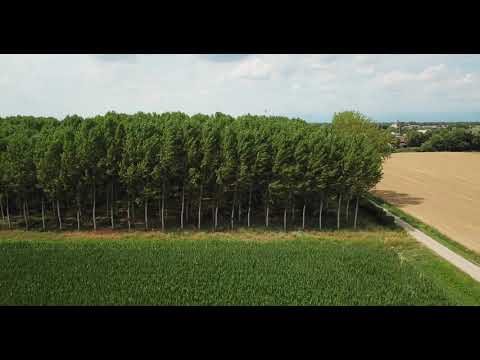 【4K】Gonars in Italy🇮🇹 by drone !!!!!