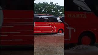 Download lagu GUNUNG HARTA BUS | Pesona Bus Indonesia #Shorts mp3