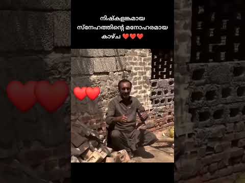 #നിഷ്കളങ്കമായ സ്നേഹത്തിന്റെ മനോഹരമായ കാഴ്ച ❤️