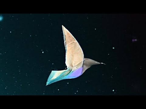 SENTO - Too Easy feat. Joshua Vincent (Official Audio)