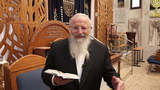 האם התצפיתניות היו צריכות לעקוף סמכות | הרב שמואל אליהו | הלכה יומית | י״ז חשון תשפ״ה (הרב שמואל אליהו) - התמונה מוצגת ישירות מתוך אתר האינטרנט יוטיוב. זכויות היוצרים בתמונה שייכות ליוצרה. קישור קרדיט למקור התוכן נמצא בתוך דף הסרטון