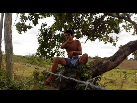 WEBCLIP -  RESISTÊNCIA PERIFÉRICA  -  POESIA PERIFÉRICA