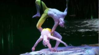 Cirque du Soleil Show TOTEM - Acrobats