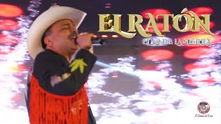 El Senor Lyrics English Translation