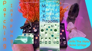 Video thumbnail for Patching Into Fungi With The Make Noise Strega by MycoLyco