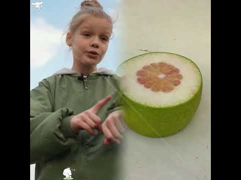 Small, but with character) Do you like to argue #shortsfeed