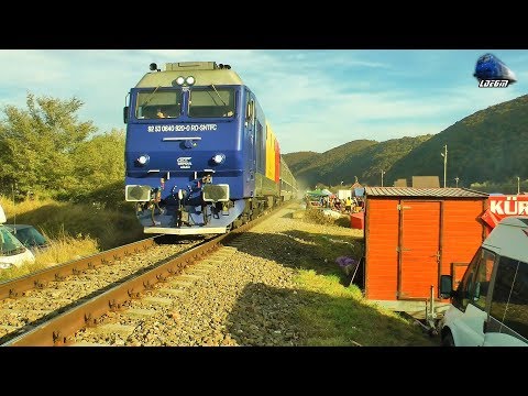 Horns Show de Goarne By Jimmy Tricolor 64-0920-0 in Târgul de la Negreni Fair - 13 October 2019