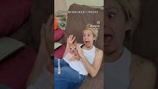 Download lagu XD #xd mp3 Download lagu XD #xd mp3