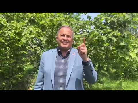 CHP MİLLETVEKİLİ TORUN: "YAZIKLAR OLSUN SİZE!