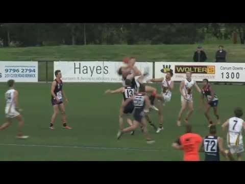 Round 11 VFL Mark of the Round