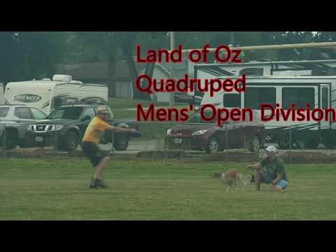 The Quadruped