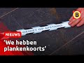 Zo bereidde de Tilburgse horeca zich voor | Omroep Brabant
