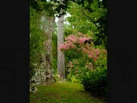 Opis Dzenneta-Raja u islamu, drugi dio