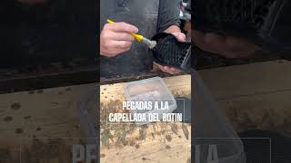 Video de Botines Campeón - Blanco Celeste