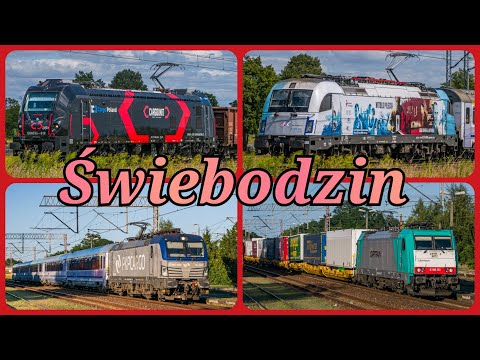 Pociągi Świebodzin