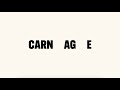 Nick Cave & Warren Ellis - Carnage (Official Lyric Video)