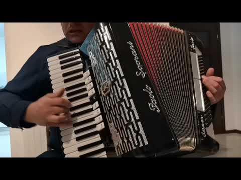 Akordeon Akkordeon Accordion Paolo Soprani(mod.Super Paolo) 120/4/5 Musette( casotto)