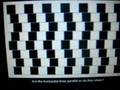 Optical Illusions