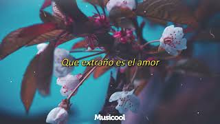 Que Extraño es el Amor | Karina (Letra/Lyrics)