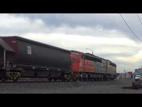 SSR Bulldogs on Grain