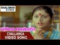 Sarada Ramudu Movie Challanga Video Song NTR Jayasudha Shalimarsongs