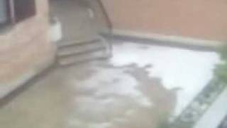 Neurje v Ljutomeru, 16. junij 2009 drugič