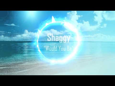 Shaggy  - Would You Be ft. Brian Thompson