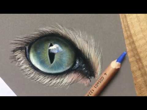 Cat eye in pastel pencil and soft pastel
