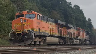 BNSF 7695 golden swoosh with BNSF 9390 high headlight ACE!