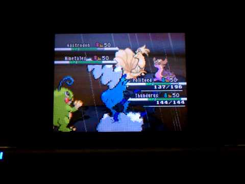 Pokemon VGC 2013 Autumn Regionals round 2