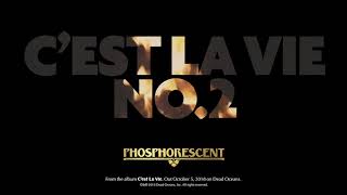 Video thumbnail of "Phosphorescent - C’est La Vie No. 2 (Official Audio)"