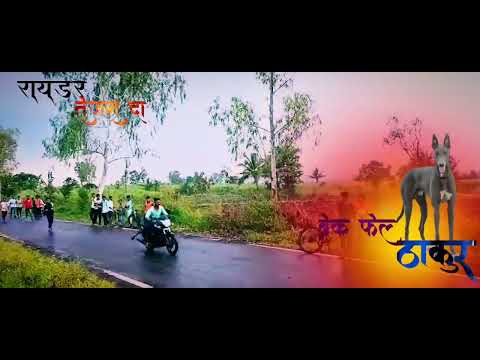 #dog #dograce #shorts #viral #animals #love