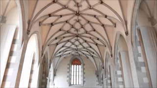 preview picture of video 'Blaubeuren - Kloster und Blautopf'