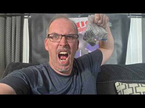GotBot Goes Live: New Listings, DNA Design,, Takara, Yolopark, Peter Cullen and an Umboxing