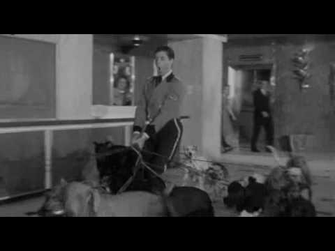 Jerry Lewis   The Bellboy 1960