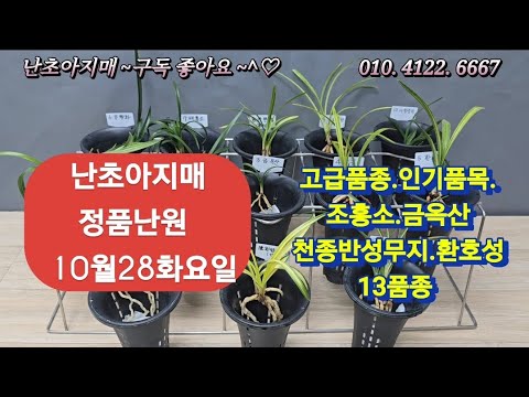 유튜브 썸네일