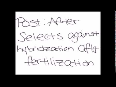 reproductive isolation