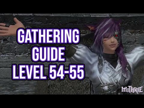 FFXIV 3.0 0666 Gathering Guide Level 54 to 55