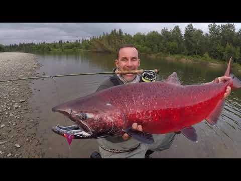 La rivière perdue , Expédition Alaska 2019 partie I