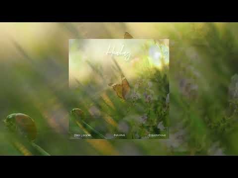Healing - Bliss Looper, INAHNA, Equanimous