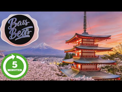 WILD POGO - Francis Preve - extended 5 Minutes