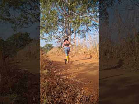 Caminhada sertaneja Comunidade Santa Rita município Vianópolis Goiás Brasil