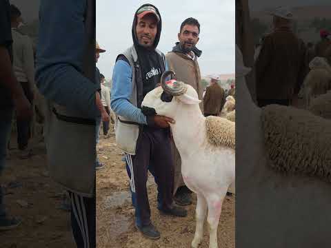 واش ايستاهل هاد التمن ولالا🤔