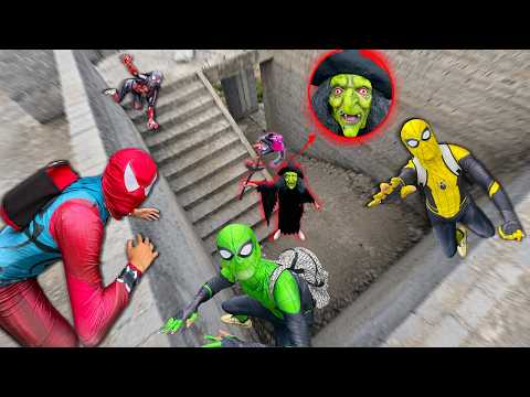 Into The Spider Verse X Reader