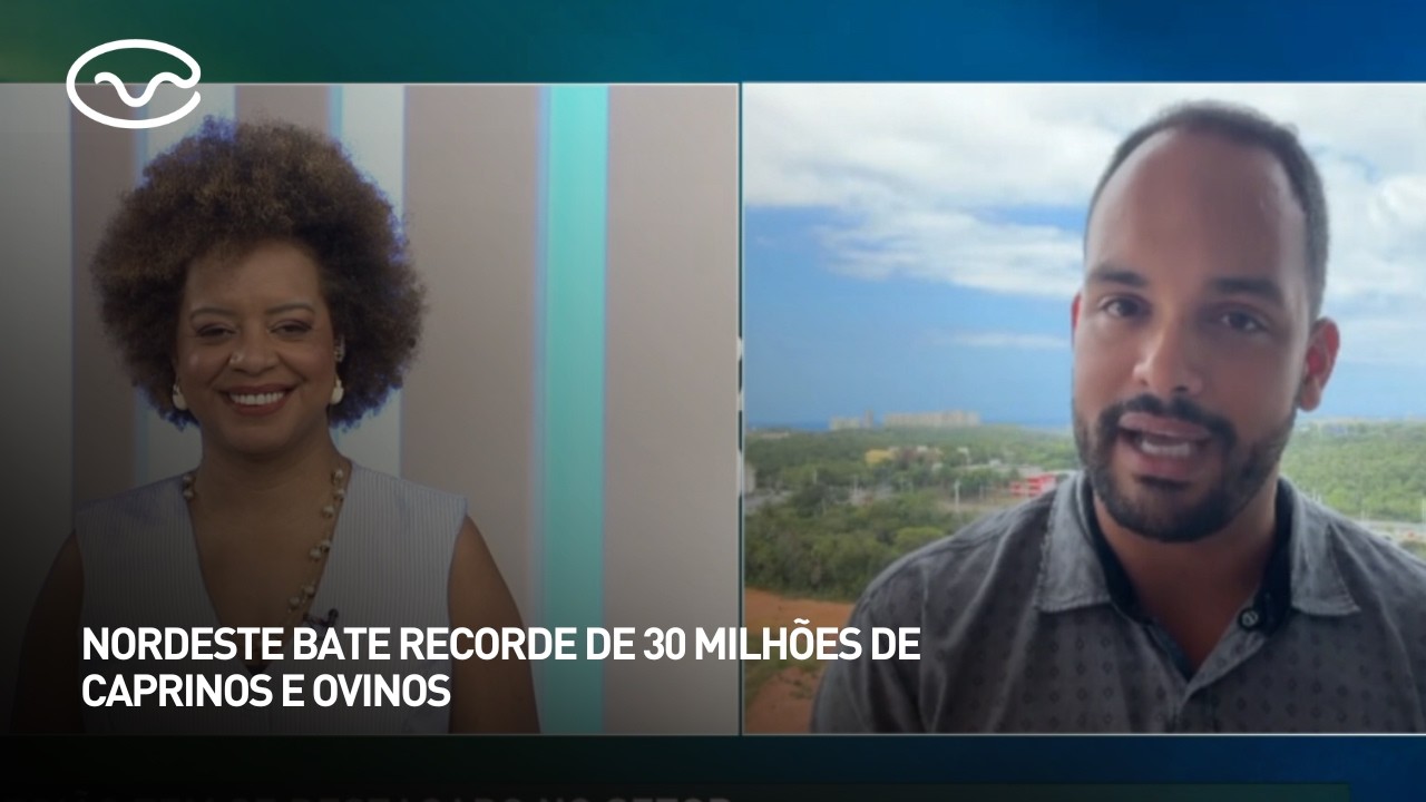 Nordeste bate recorde de 30 milhões de caprinos e ovinos