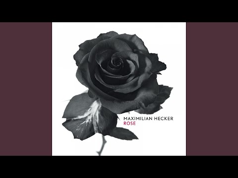 My Love for You Is Insane