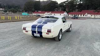 1965 Ford Mustang Fastback Shelby GT350R Tribute Walk Around